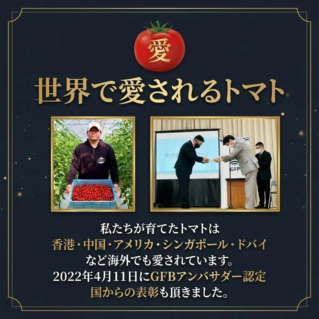 ミニトマト（プラチナ） 400g｜レッドアップ ※メール便でお届け