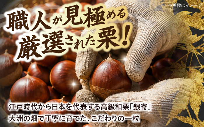 【先行予約】【2026年9月下旬から順次発送】和栗の代表！上品な甘さ！あじさい農園の高級生栗「銀寄」（1kg）　愛媛県大洲市/あじさい農園 [AGAE010]くり クリ モンブラン マロン 秋の味覚 