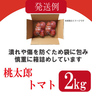 【2027年3月発送】 桃太郎トマト 約2kg 先行予約 トマト