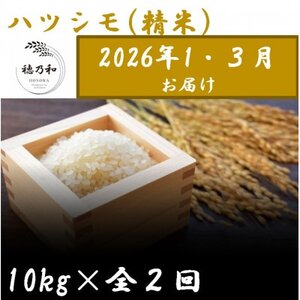 【発送月固定定期便】【先行予約】岐阜県産ハツシモ(精米)10kg【1・3月発送】【隔月定期便】全2回【配送不可地域：離島】【4073154】