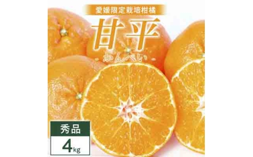 【先行受付】甘平 4kg 愛媛県 八幡浜市 西宇和地区 扁平で濃い味＜E25-331＞【1714520】 YWTAP272