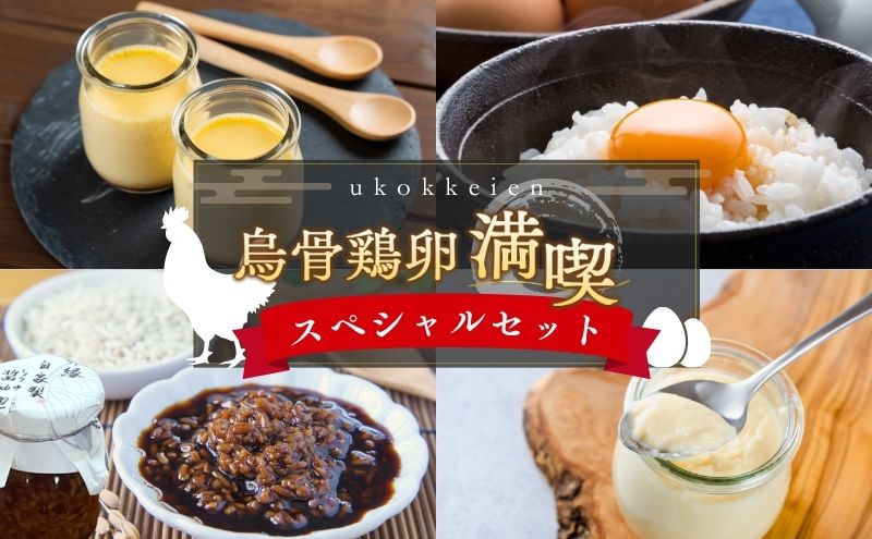 【烏骨鶏卵満喫スペシャルセット】平飼い烏骨鶏卵、卵かけご飯専用醤油麹、烏骨鶏卵黄100％プリン、卵白100％プリン たまご 生卵 タマゴ うこっけい 平飼い 醤油麹 プリン 森町 静岡県
