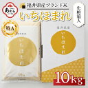 【ふるさと納税】【令和6年産 新米】いちほまれ 精米 10kg 《ギフトにもおすすめ！化粧箱入り》／ 福井県産 ブランド米 白米 贈り物 お取り寄せ