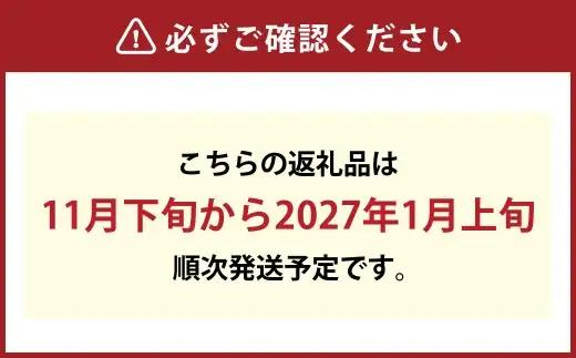 オリジナルビオラおまかせアソート （ プレミアム 24鉢 ）【 2026年11月下旬から2027年1月上旬迄発送予定 】