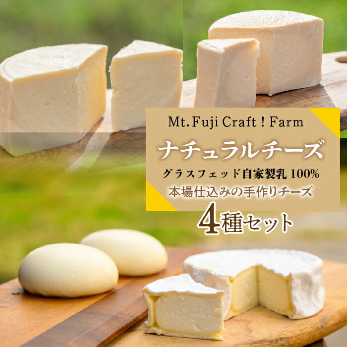【ふるさと納税】 ナチュラルチーズ〜グラスフェッド自家製生乳100％本場仕込みの手作りチーズ4種セット ふるさと納税 チーズ 手作りチーズ 自家製 チーズセット 詰め合わせ 人気 おすすめ プレゼント パーティー クリスマス 山梨県 富士河口湖町 送料無料 FAO002