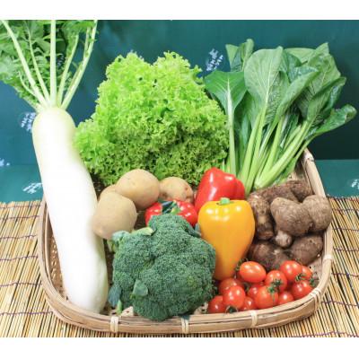 ふるさと納税 芝山町 【空の駅 風和里しばやま】旬野菜の詰め合わせ「大地の恵みセット」7〜8種 |  | 01