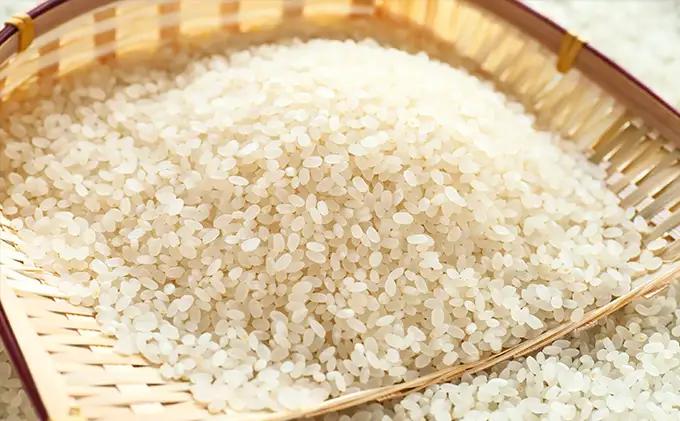 天水の恵米「コシヒカリ・ミルキークイーン・彩のきずな」白米3kgずつおすすめ米セット お米 