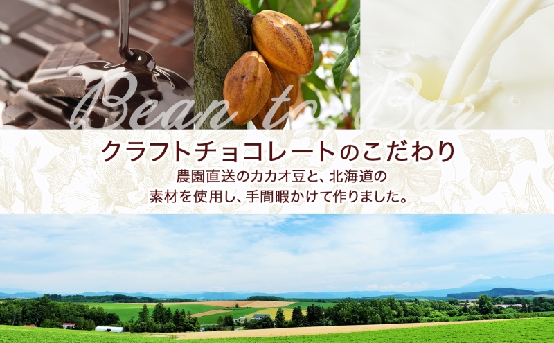 北海道 クラフト チョコレート 8種セット ダーク 梅酒  レーズン エスプレッソ ラズベリー ジンジャー チリ＆ソルト ミルク アーモンド チョコ スイーツ デザート 洋菓子 グルメ お取り寄せ ギ