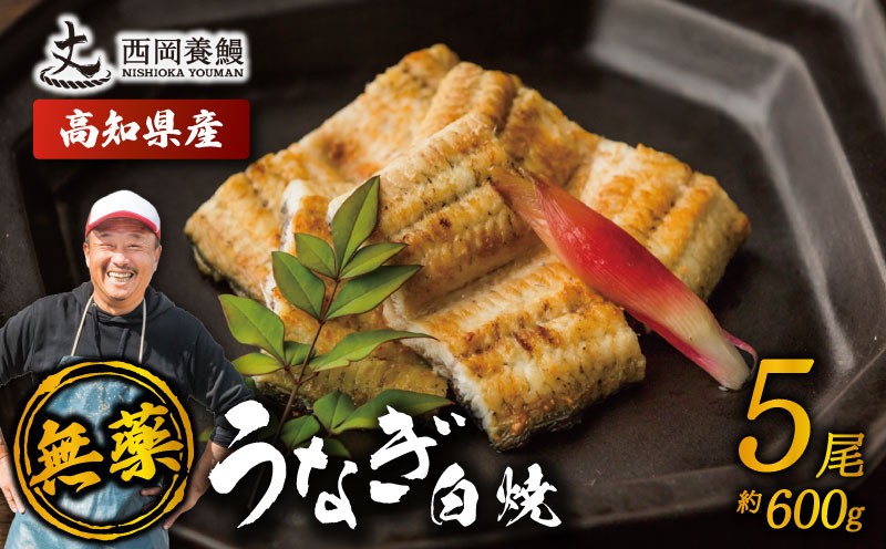 
                  完全無投薬 鰻白焼 国産 うなぎ白焼 600g ( 120g × 5尾 ) 鰻 厳選 無薬 うなぎ 白焼き 白やき 国産うなぎ 国産鰻 人気 鰻白焼き 特製タレ 山椒 セット 湯煎 簡単調理 旨味 風味 香ばしい うな重 土用の丑の日 夏バテ対策 スタミナ食 ギフト 贈り物 贈答 お取り寄せ グルメ 高級 うなぎ料理 こだわり 冷凍 高知県産 ランキング おすすめ 西岡養鰻 安芸市 高知県
                
