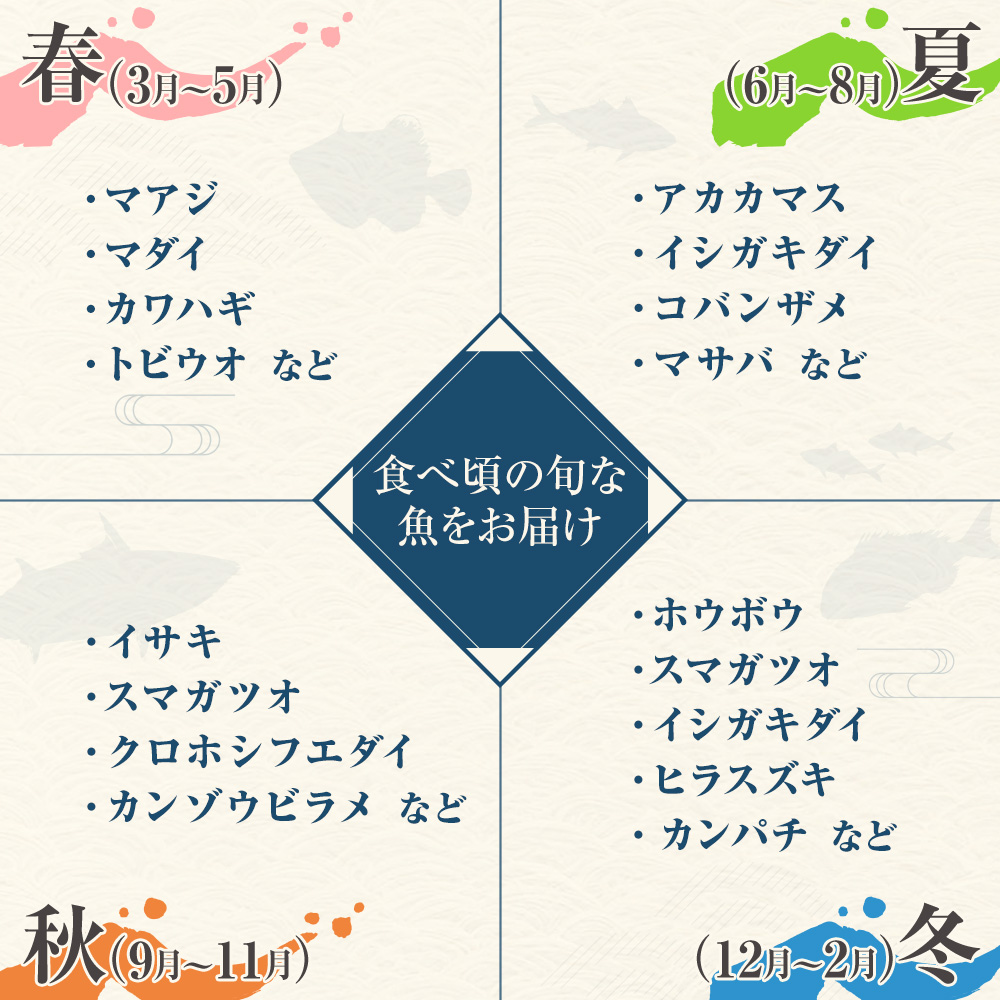 旬の朝獲れ鮮魚詰め合わせ（プレミアム）【2026年12月配送※着日指定不可】【以布利定置網　漁師直送】朝獲れ 旬 鮮魚 魚介 海鮮 魚 さかな せんぎょ 鮮魚セット 詰め合わせ おまかせ お任せ【S0
