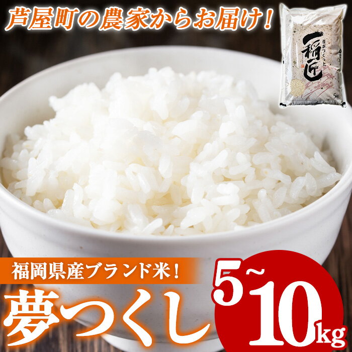 【ふるさと納税】≪令和7年産・容量選べる≫福岡県産 夢つくし 白米(計5~10kg) 白米 米 お米 おこめ ごはん ゆめつくし 夢つくし ご飯 常温 福岡県産 ブランド米 常温 常温保存
