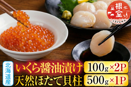 いくら醤油漬け100g×2P、ほたて貝柱500g×1P C-36041