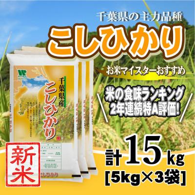ふるさと納税 大網白里市 【新米 令和8年産】【特A評価】千葉県産「コシヒカリ」精米 15kg(5kg×3袋)