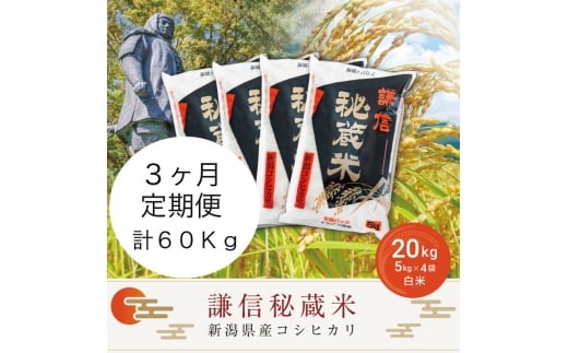 令和7年産 新潟県産 コシヒカリ 定期便（20kg×3回分） 謙信秘蔵米 真空 窒素挿入 冬眠パック 精白米 お米 上越市 上越産 上越米 上杉謙信