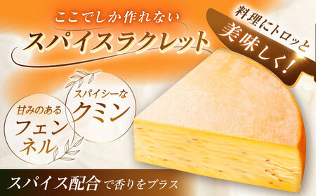 北海道 スパイスラクレット 1/2ホール（2.5kg）《足寄町》【しあわせチーズ工房】チーズ ラクレット ラクレットチーズ 生乳 ミルク 乳製品 チーズフォンデュ 北海道産 道産 あしょろ 北海道[B