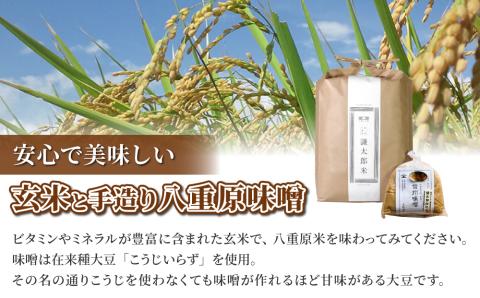 【太陽と大地】八重原産特別栽培米（減農薬・減化学肥料栽培）コシヒカリ（玄米）５kgと信州味噌「八重原味噌」５００gのセット