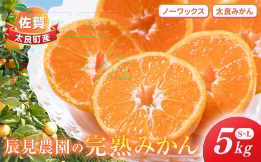 L-90 辰見農園の完熟みかん　５ｋｇ　みかん ミカン 蜜柑 温州みかん 完熟みかん 甘熟 柑橘 有機栽培 国産 こだわり ノーワックス 贈答品 産地直送 詰め合わせ 佐賀県産 太良町