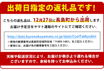 【12月27日発送】長島町特産「鯛王」(2匹・約2.4kg) 産地直送 新鮮 旨味が抜群の 長島町 特産品 ブランド 真鯛 をまるごと 一匹 楽しめる 刺身 鯛めし 鯛茶漬け 鯛しゃぶ 鯛刺身 鮮魚 