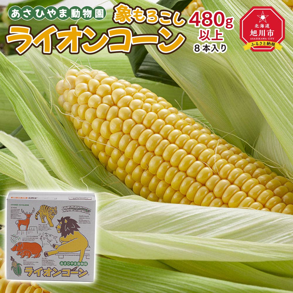 【ふるさと納税】【先行予約】象もろこし（ライオンコーン）大きいサイズのトウモロコシ　480g以上8本入り(2025年8月下旬～発送開始予定)_01412 | とうもろこし おおもの コーン 糖度16度以上 ゴールドラッシュ 糖度 お取り寄せ 旭川市 北海道ふるさと納税 送料無料