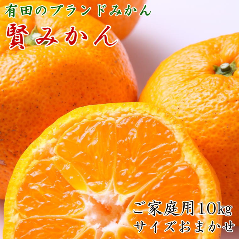 【ふるさと納税】【2025年先行予約】 【家庭用】 有田ブランド 賢みかん 10kg （S～Lサイズおまかせ） ［2025年11月中旬より順次発送］【ミカン 蜜柑 柑橘 温州みかん 有田みかん】