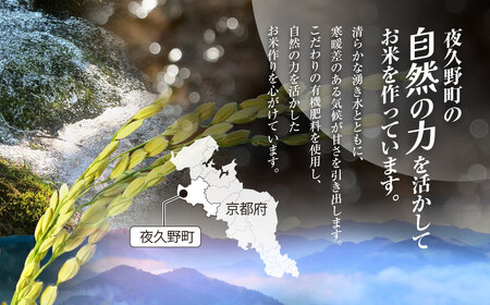 ＜3ヶ月定期便＞＜令和7年産＞ 京都夜久野産 清雫(せいな) コシヒカリ 白米 (10kg×3回) ふるさと納税 福知山市 令和7年度産 先行 定期便 選べる 容量 回数 白米 精米 夜久野 京都 【