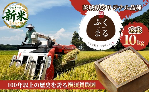 令和8年度米 ふくまる 玄米 10kg 農家直送 | 新米 令和8年 先行受付 期間限定 ふくまる 米 お米 おこめ こめ 白米 精米 ごはん ご飯 ふくまる おこめ 米 ふくまる 厳選米 茨城県産 産地直送 国産 冷めてもおいしい 美味しい こだわり 甘みが強い ふっくら 艶やか 茨城県ひたちなか市産