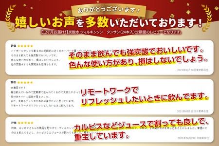 【12ヶ月お届け！】炭酸水 ウィルキンソン　タンサン（24本入）定期便 12回 アサヒ 強炭酸水 炭酸 水 炭酸水ウィルキンソン