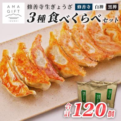 ふるさと納税 伊豆市 修善寺 生 ぎょうざ 3種 食べくらべ セット (冷凍)