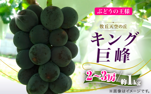 【2026年発送】9月中旬発送「幻の牧丘天空の丘キング巨峰」 約1kg(2～3房)【配送不可地域：離島・沖縄県】