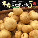 【ふるさと納税】＜数量・期間限定＞伊唐産早春じゃがいも(5kg)鹿児島県産 長島町 国産 九州産 ばれいしょ ジャガイモ 芋 いも ジャガバター ポテト サラダ 野菜 旬 赤土【旬感foods】horino-867