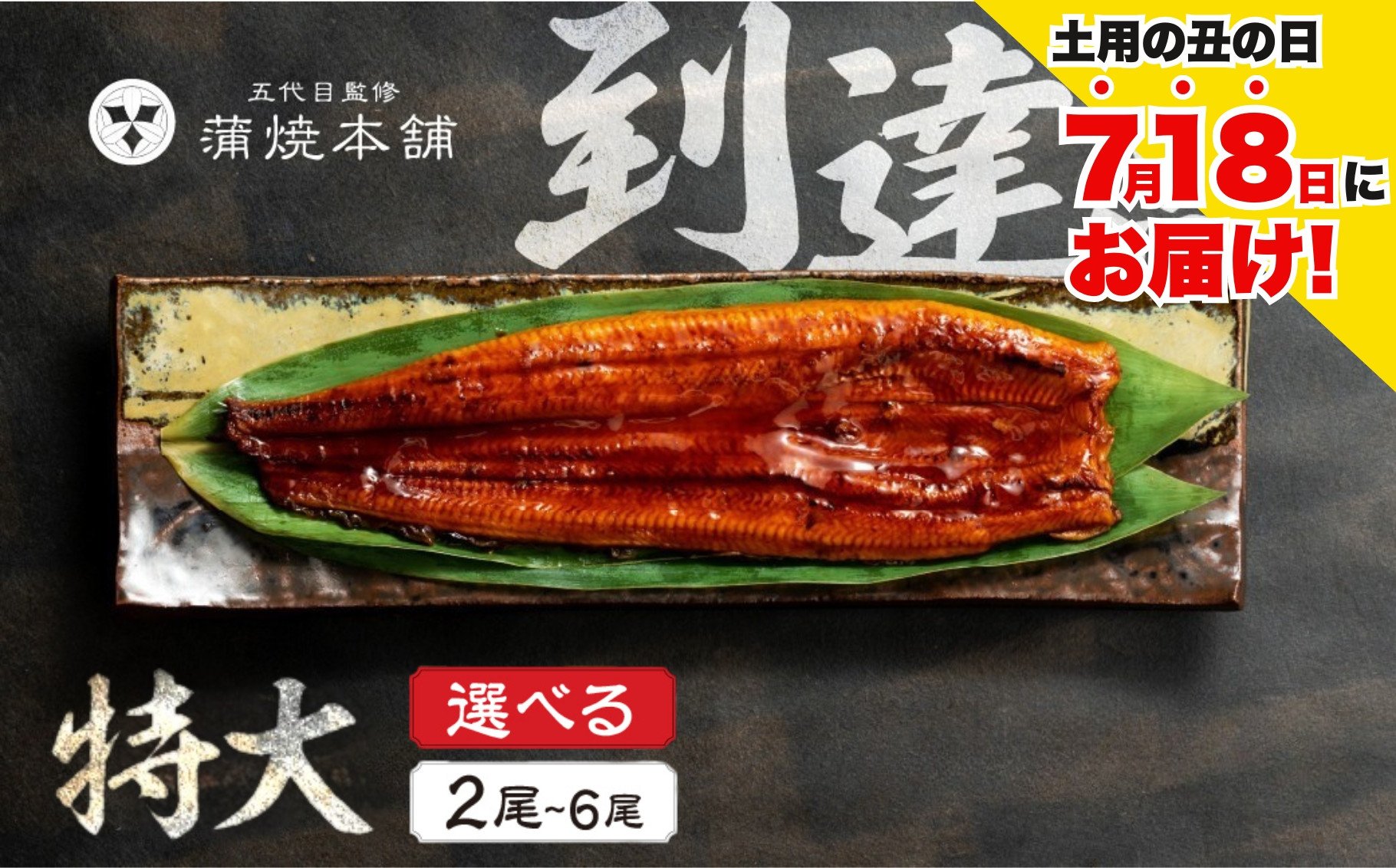 
            ≪土用の丑の日対応≫ ふっくら肉厚！国産うなぎ 蒲焼 特大 2尾~6尾 選べる 老舗 国産うなぎ セット 詰め合わせ 蒲焼 ウナギ うなぎ unagi 鰻 2尾 4尾 6尾
          