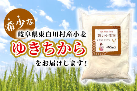 強力小麦粉 ゆきちから 1kg 岐阜県 東白川村産 小麦 国産 お取り寄せ 強力粉 小麦粉