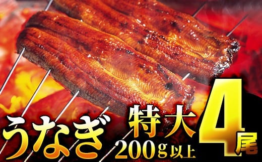 うなぎ蒲焼き 800g (200g×4尾) 土用の丑の日7月24日着