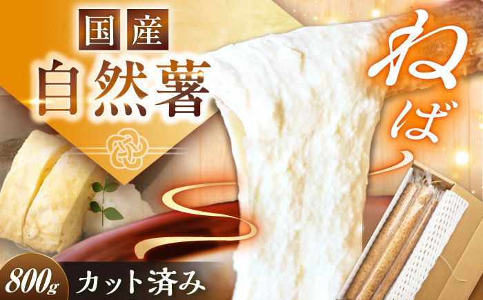 
                  【定番人気】自然薯 中（800g） / 自然薯 じねんじょ 山芋 やまいも とろろ 定番人気 産地直送食材 栄養豊富 美味しい 和食 ごはん とろろご飯 とろろ蕎麦 とろろうどん レシピ 贈り物 料理食材 お取り寄せ 贈答 ギフト 岐阜県 / 恵那市 / 水戸屋 [AUFZ009]
                