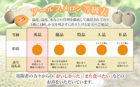 茨城県産アールスメロン「赤」【秀品】1個【2025年9月上旬～10月上旬ごろ発送予定】【 メロン茨城県産 メロン人気 メロン下妻 メロン果物 メロンフルーツ 人気メロン おすすめメロン 贈り物 プレゼ