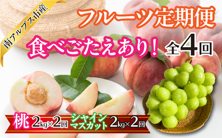 ＜2025年発送先行予約＞食べごたえあり！フルーツ4回定期便（桃2.0kg×2回　シャインマスカット2.0kg×2回） | くだもの 果物 フルーツ もも シャインマスカット ブドウ ぶどう 葡萄 山梨県産 産地直送 農家直送 新鮮 美味しい 南アルプス市 | ALPAJ052
