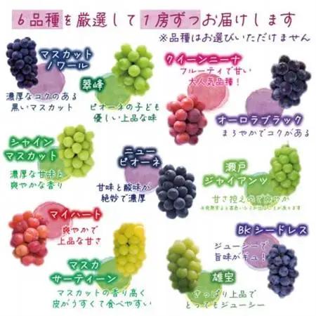 岡山　花笑み農園のブドウ『食べ比べ6種セット』6M-5【配送不可地域：離島】【1695980】