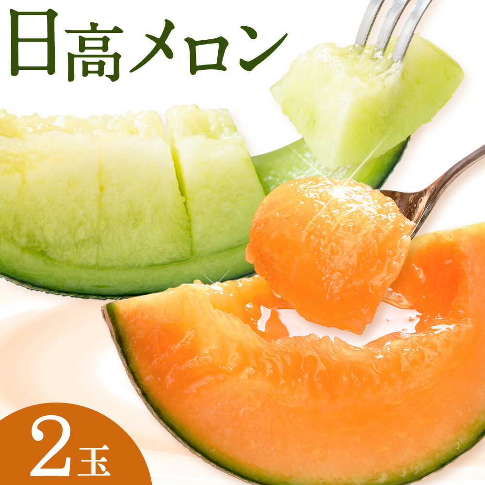 先行予約 日高メロン  2玉 のざわ農園 《7月上旬-8月中旬出荷》2026年 7月出荷 北海道 日高町産 赤肉メロン 青肉メロン 旬 果物 フルーツ めろん デザート 産地直送 お取り寄せ グルメ 