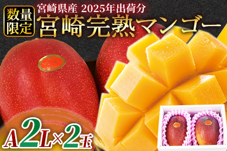 ★2025年出荷★予約受付！数量限定＜宮崎県産 完熟マンゴー A等級 2Lサイズ×2玉（合計約700g）＞2025年4月下旬～6月末迄に順次出荷【 果物 マンゴー フルーツ マンゴー スイーツ マンゴー 完熟マンゴー マンゴー 期間限定 マンゴー 数量限定 マンゴー -】
