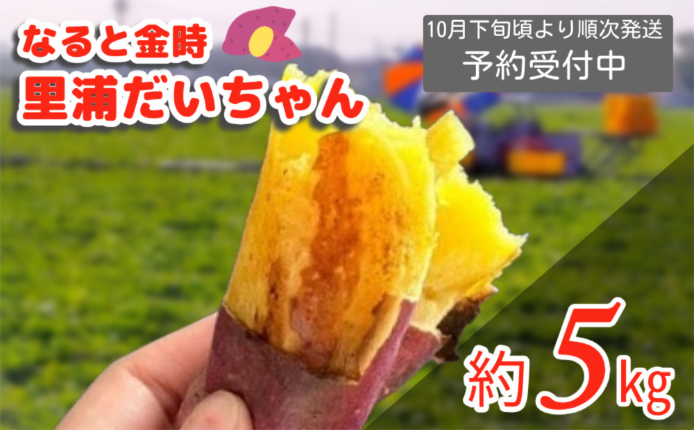 
            【予約受付中・2025年10月下旬頃より順次発送】鳴門産 さつまいも 『 里浦だいちゃん 』 5kg | なると金時 甘い ホクホク スイーツ 焼き芋 干し芋 天ぷら サラダ けんぴ きんつば
          