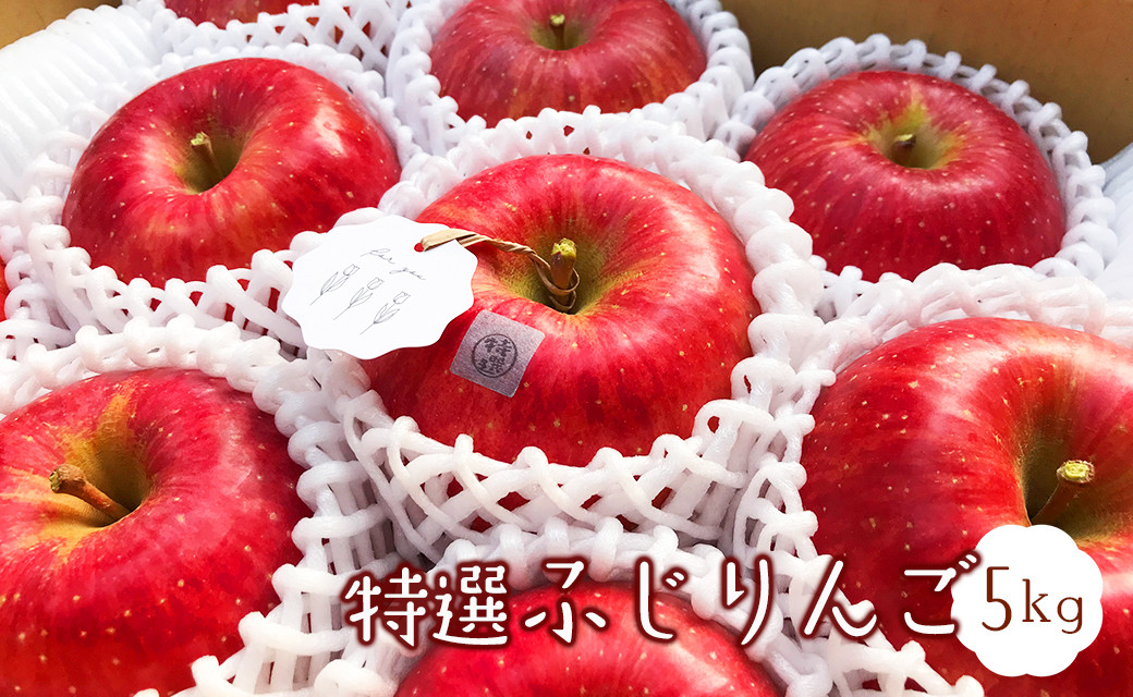 
                  【先行予約】特選ふじりんご5kg
                