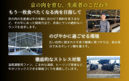 【牛肉 定期便 全4回】黒毛和牛 赤身肉 定期便 頒布会 
