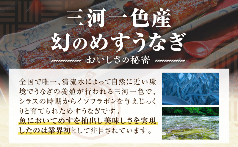 三河一色産　幻のめすうなぎ艶鰻　蒲焼6尾・T118