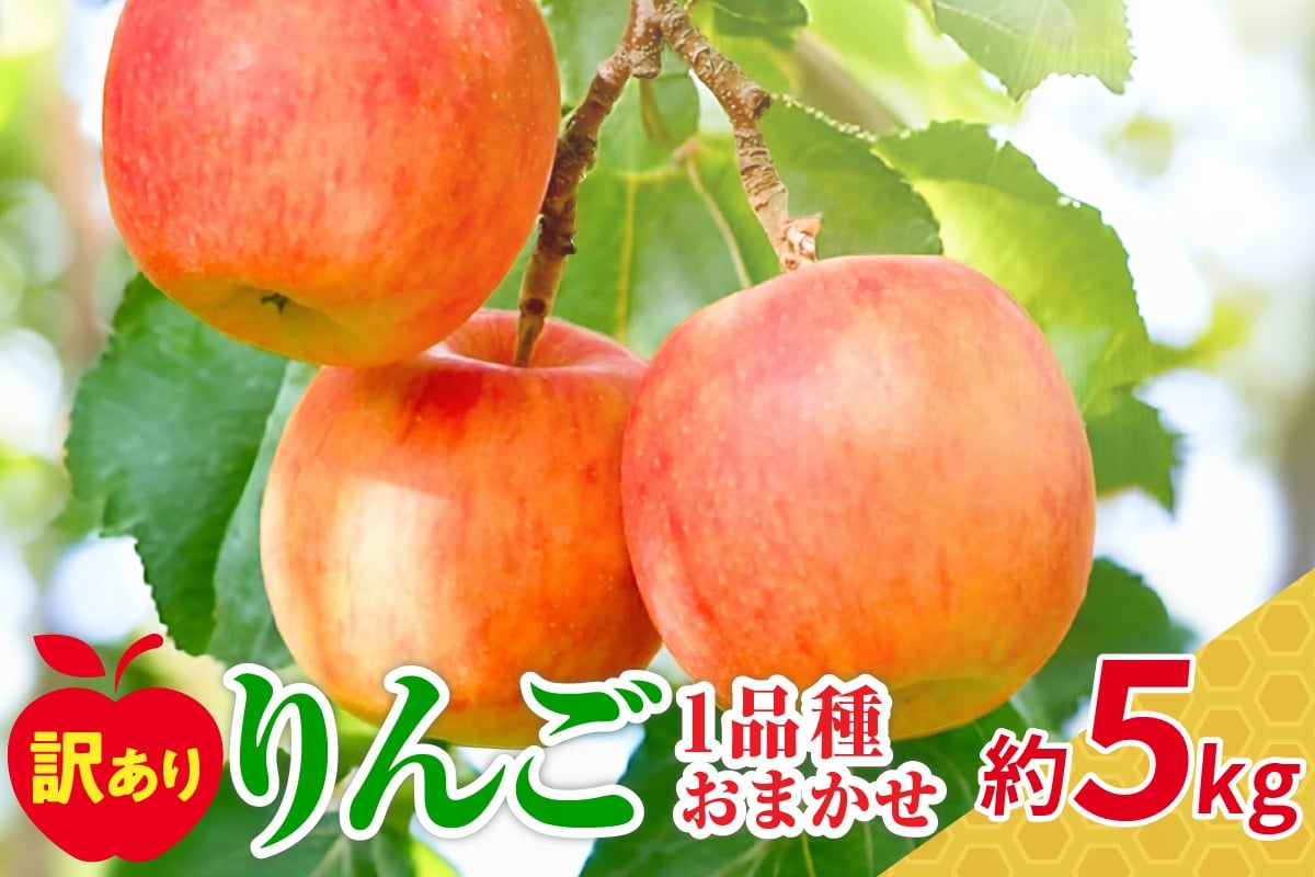 
            【選べる配送時期】 【訳あり】 旬の美味しい りんご 約5kg 青森 産 【おまかせ1品種】
          