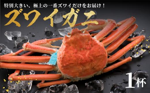 【 姫丸 の プレミアム 蟹 】 1 - 3月 配送  1番ズワイガニ 茹で上げ後 約 1.1kg 以上 × 1杯