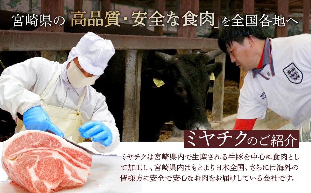 宮崎牛 スライス 食べ比べ セット 計1.1kg 牛肉 肉 国産 しゃぶしゃぶ すきしゃぶ 食べ比べ セット スライス 小分け 赤身 ブランド牛 ギフト 贈り物 九州 宮崎