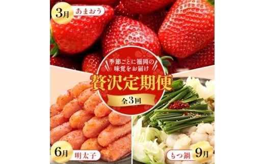 ＜発送月固定定期便＞季節ごとに福岡の味覚をお届け!あまおう・明太子・もつ鍋の贅沢定期便全3回【4014670】