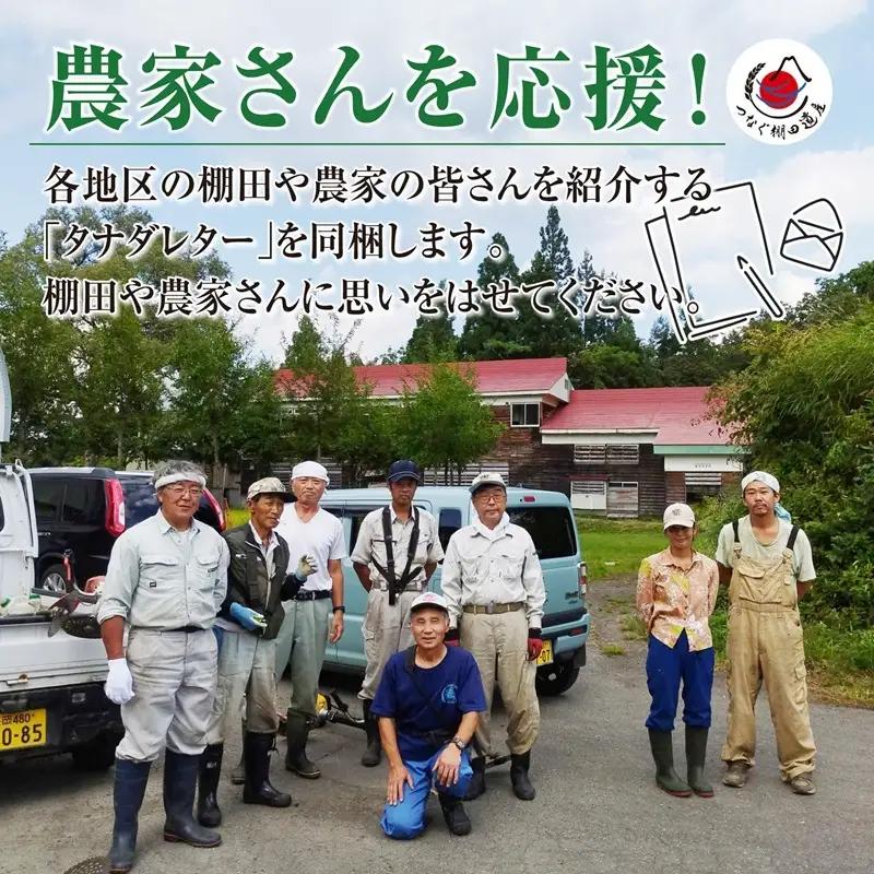 【令和8年産 先行予約】【定期便／全3回】無洗米2kg　新潟県十日町市魚沼産コシヒカリ「つなぐ棚田米」 米 こしひかり 無洗米 定期 十日町市