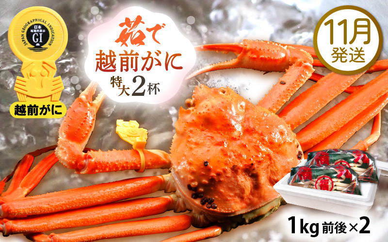 
            越前がに本場の越前町からお届け！ 越前がに 浜茹で 特大サイズ（生で1kg前後） × 2杯 かにの食べ方しおり かにスプーン付き【かに カニ 蟹】【福井県 越前町 雄 ズワイガニ ボイル 冷蔵 越前ガニ 越前かに 越前カニ ずわいがに ずわい蟹 かに カニ 蟹】【11月発送分】希望日指定可 備考欄に希望日をご記入ください [e15-x013_11]
          