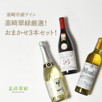 ふるさと納税 韮崎市 韮崎市産ワイン 韮崎翠緑厳選! おまかせ3本セット(NS-0013)